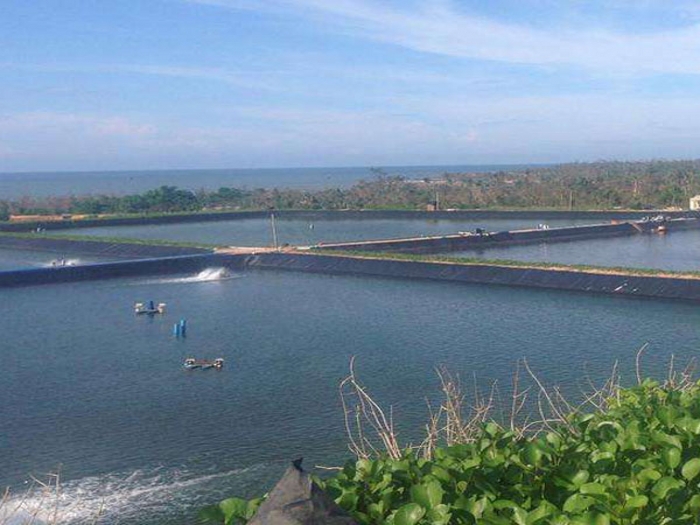 土工膜（養(yǎng)殖）